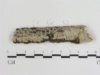 登錄號:F0010032藏品圖，第1張
