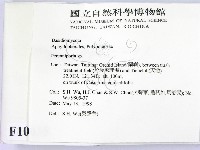 多年臥孔菌屬藏品圖，第2張