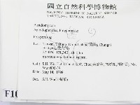 多孔菌屬藏品圖，第2張