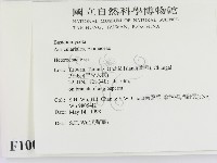 刺皮菌屬藏品圖，第2張