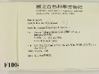 登錄號:F0010040藏品圖，第2張