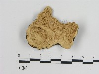 登錄號:F0010040藏品圖，第1張