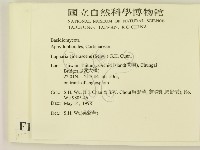 登錄號:F0010042藏品圖，第2張