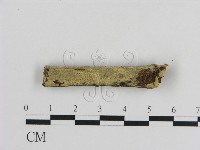 登錄號:F0010045藏品圖，第1張