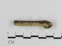 登錄號:F0010045藏品圖，第3張