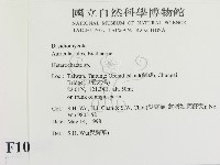 刺皮菌屬藏品圖，第2張