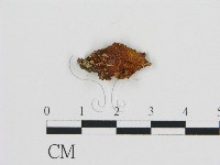 登錄號:F0010048藏品圖，第3張