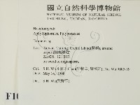 栓菌屬藏品圖，第2張