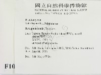 登錄號:F0010053藏品圖，第2張