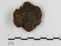 登錄號:F0010053藏品圖，第1張