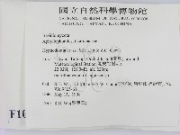 登錄號:F0010054藏品圖，第2張