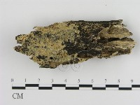 登錄號:F0010054藏品圖，第1張