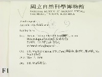 登錄號:F0010055藏品圖，第2張