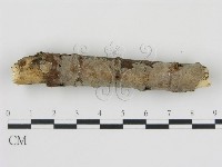 登錄號:F0010055藏品圖，第3張