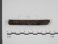 登錄號:F0010056藏品圖，第3張