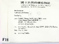 登錄號:F0010059藏品圖，第2張