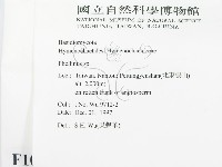 木層孔菌屬藏品圖，第2張