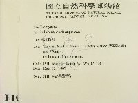 登錄號:F0010065藏品圖，第2張