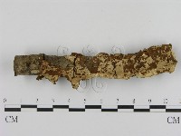 登錄號:F0010065藏品圖，第1張