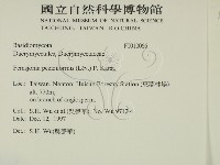 登錄號:F0010066藏品圖，第2張