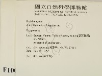 銳孔菌屬藏品圖，第2張