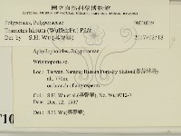 登錄號:F0010069藏品圖，第2張