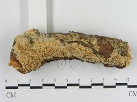 登錄號:F0010071藏品圖，第3張