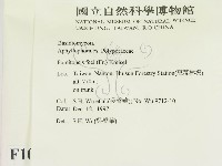 登錄號:F0010072藏品圖，第2張