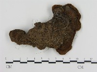 登錄號:F0010072藏品圖，第3張