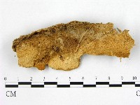 登錄號:F0010073藏品圖，第1張