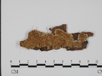 登錄號:F0010076藏品圖，第1張