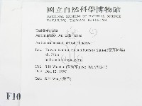 登錄號:F0010077藏品圖，第2張