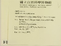 登錄號:F0010079藏品圖，第2張