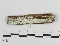 登錄號:F0010079藏品圖，第1張