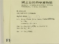 登錄號:F0010080藏品圖，第2張