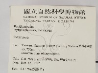 韌革菌屬藏品圖，第2張