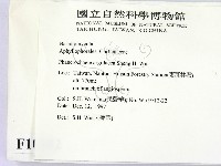 登錄號:F0010082藏品圖，第2張