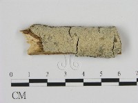 登錄號:F0010084藏品圖，第1張