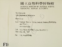 韌革菌屬藏品圖，第2張