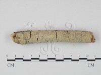 登錄號:F0010087藏品圖，第1張