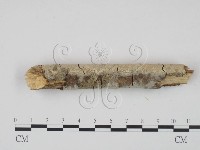 登錄號:F0010087藏品圖，第4張