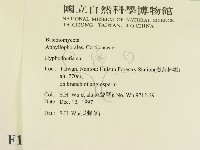 登錄號:F0010089藏品圖，第2張