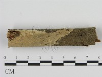 登錄號:F0010089藏品圖，第1張