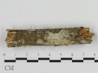 登錄號:F0010089藏品圖，第3張