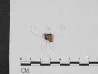 登錄號:F0010091藏品圖，第3張