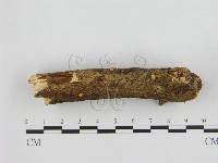 登錄號:F0010094藏品圖，第1張