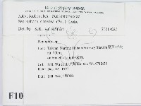 登錄號:F0010095藏品圖，第2張