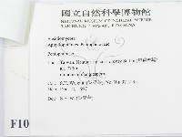 登錄號:F0010095藏品圖，第3張