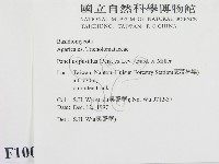 登錄號:F0010096藏品圖，第2張