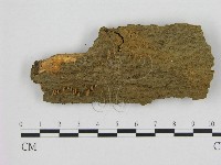 登錄號:F0010096藏品圖，第1張